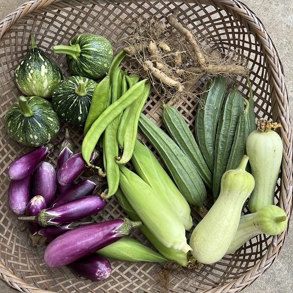 湖南乐永坊蔬菜盲盒7斤（不指定菜品， 随机发4-5种蔬菜）