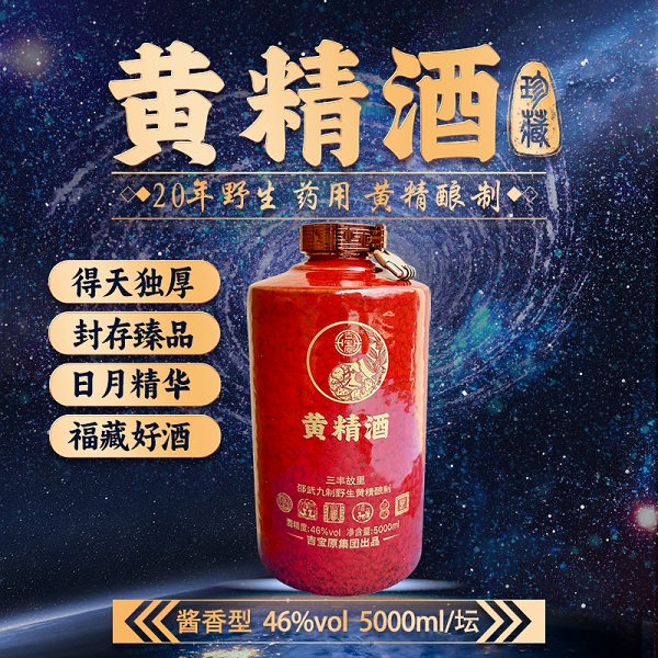 桃139园 吉宝原 三丰故里黄精酒1瓶（5000ml/坛）