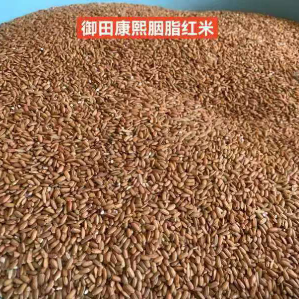 桃137园 生态老品种珍稀康熙胭脂红糙米5斤