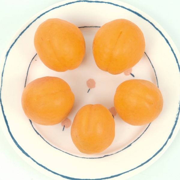 山西临猗生态金太阳杏子 5斤装