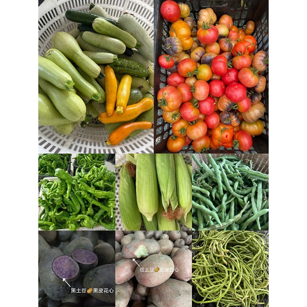 四川阿旺农场蔬菜包4斤（请备注所需菜品）