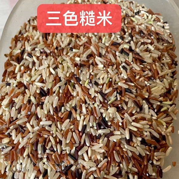 桃137园  生态老品种食养三色糙米10斤