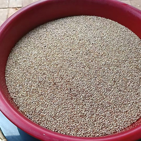 桃126园  生态老种子白芝麻5斤