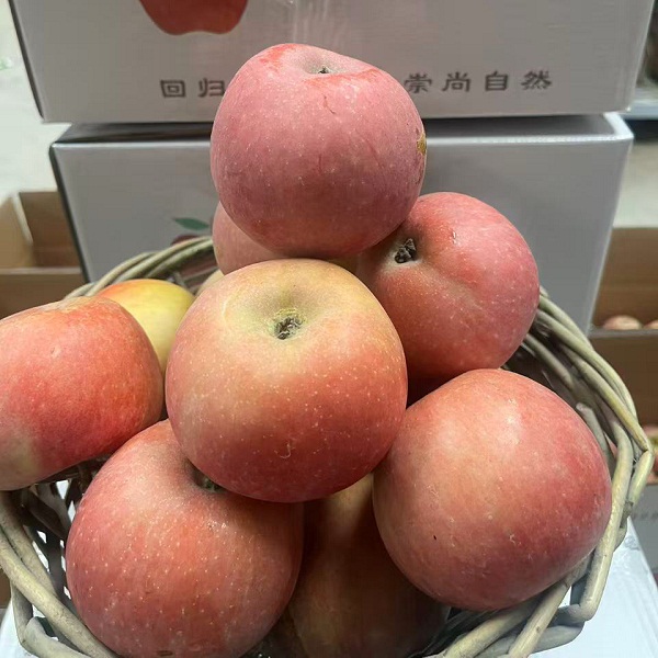桃33园  李建民幸子果园生态红富士苹果3 箱（8.5斤/ 箱*3，赠6 包约3斤麻花
