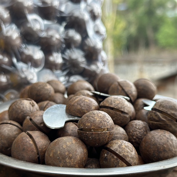 生态夏威夷坚果1斤（带壳切口，酥香，真空包装）