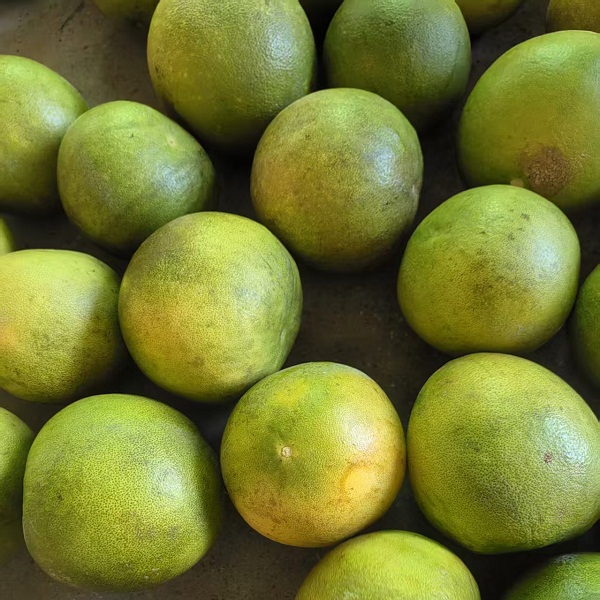 慈心青柚(泰国青柚，10粒装，小果，约16斤）