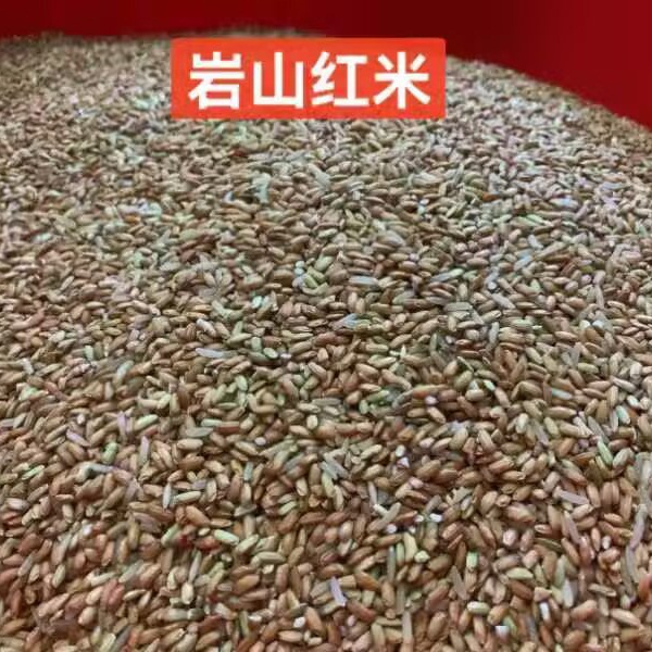 桃137园  生态老品种岩山红米 5斤