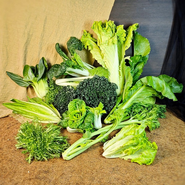 （特惠）桃59园 梁贤峰 河南汝州生态蔬菜盲盒（随机发菜品， 不指定菜品）