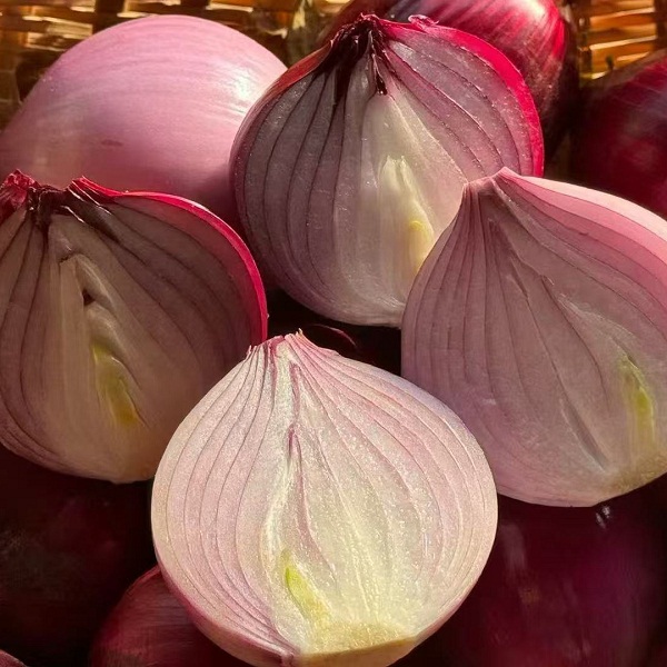 桃61园 毛世军甘肃有机紫洋葱5斤