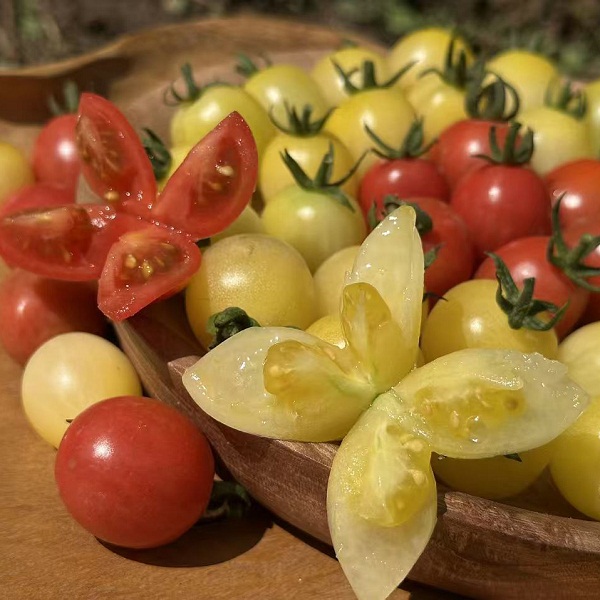 桃60园 马空军西双版纳拼色小番茄3斤（白天使和红宝石，赠送1斤， 实发4斤）