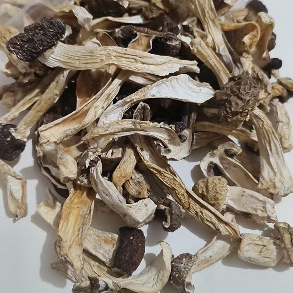 福建屏南高山仿野生赤松茸干200克