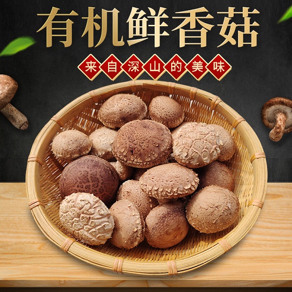 小空山有机段木鲜香菇（一级1斤，不剪菇腿）