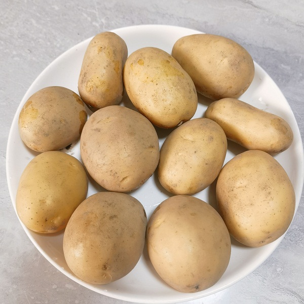 广东湛江生态土豆4斤（买4斤赠送1斤， 实发5斤）