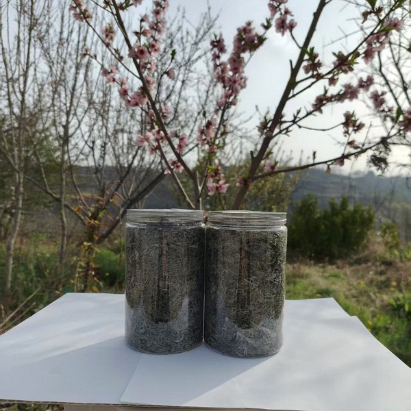 桃51园 李献国  野生茵陈茶100克（50克/罐*2）