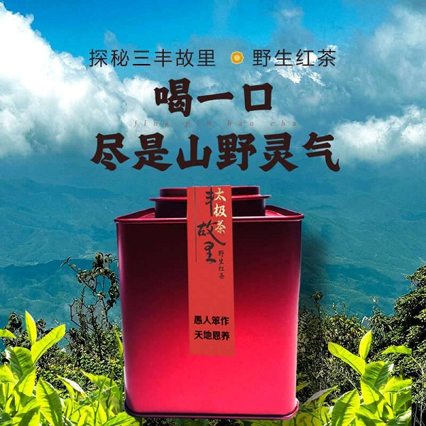 桃139园 吉宝原太极茶1罐（125克）