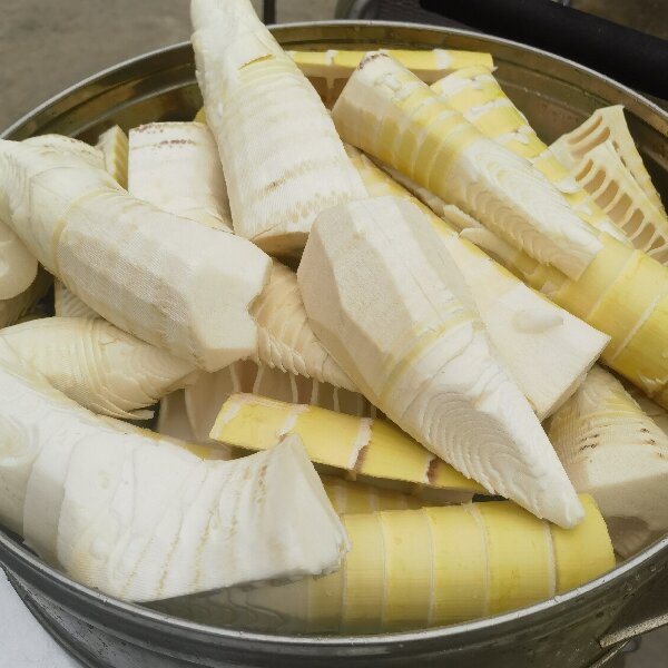桃118园  现挖春笋（去壳柴火煮真空包装）5斤装