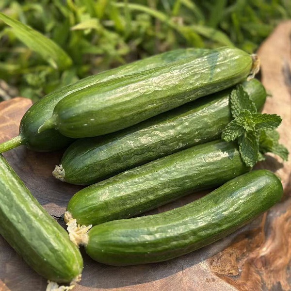 桃60园西双版纳生态水果黄瓜5斤（赠送2斤， 实发7斤，圆通快递）