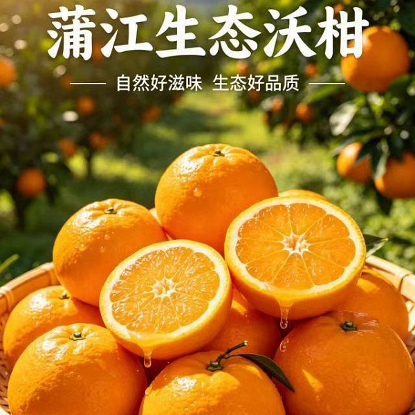   四川蒲江生态沃柑8.5斤