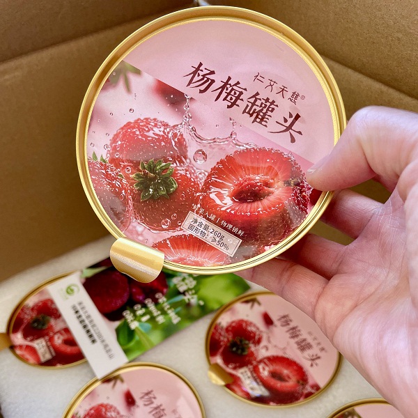 桃115园 杨梅罐头2罐（260克/罐*2）