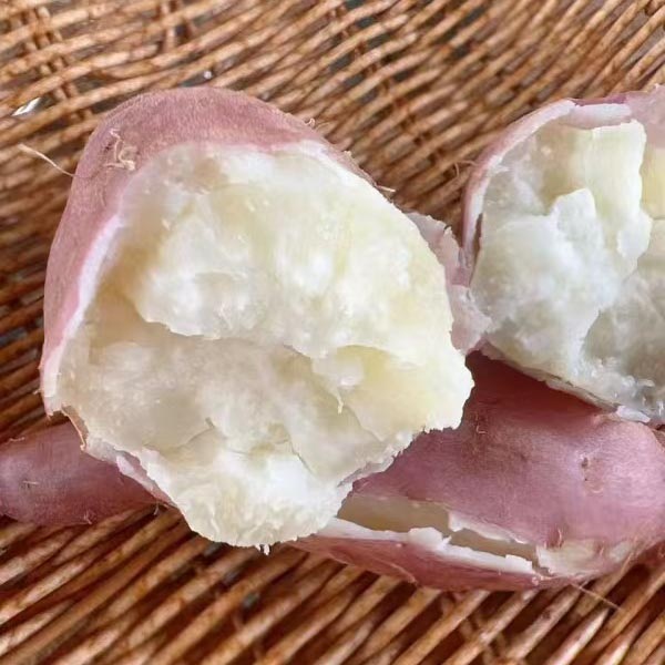 河南汝州生态哈密白薯5斤